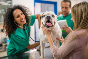 What To Expect In The Veterinarian Program | Eastern College