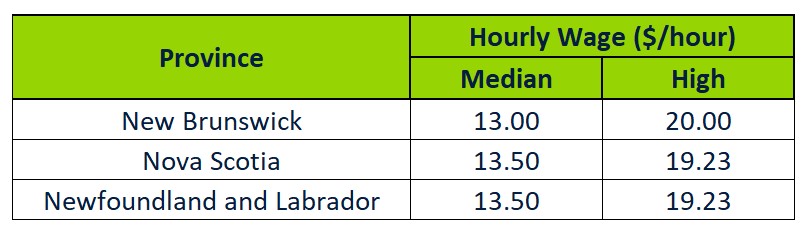 How Much Do Veterinary Assistant Make An Hour Lisenskonst